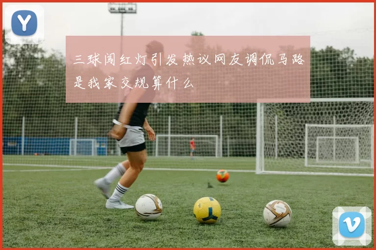 三球闯红灯引发热议网友调侃马路是我家交规算什么