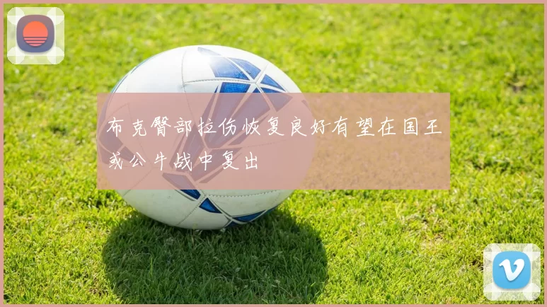 布克臀部拉伤恢复良好有望在国王或公牛战中复出